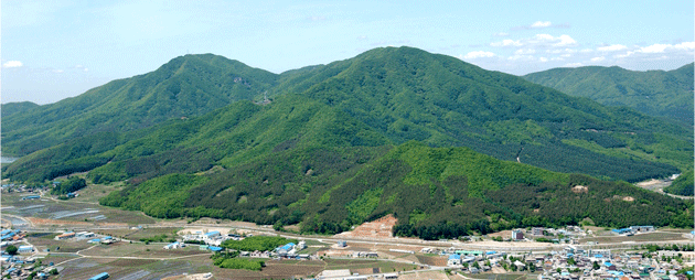 태화산 전경 이미지