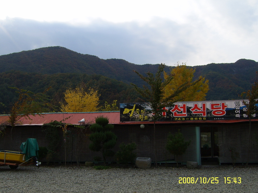 금산칼국수 이미지