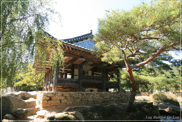 정자중학교 이미지