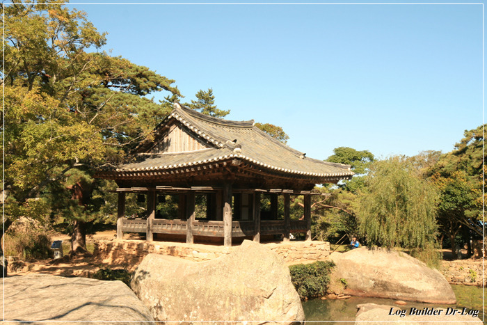 정자중학교 이미지