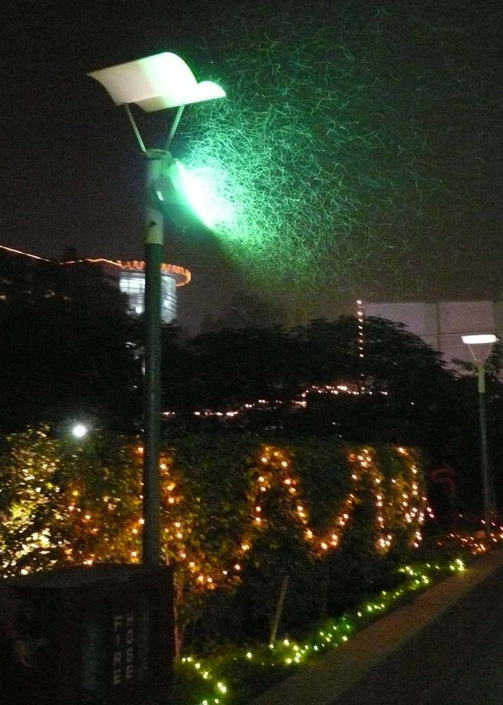 디왈리 이미지