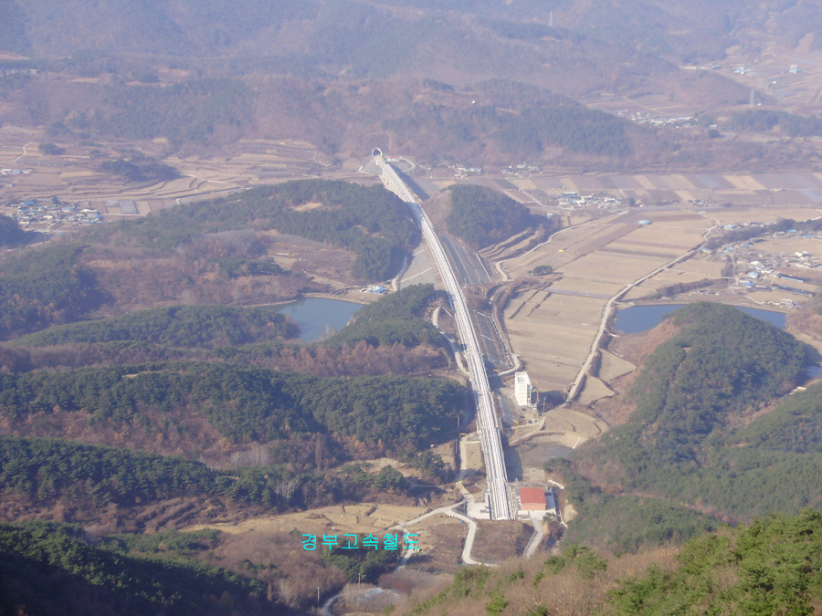 서오리 이미지