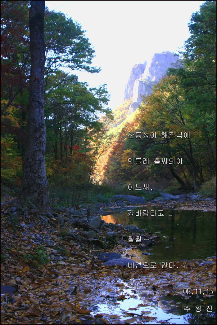 텔레파시 이미지