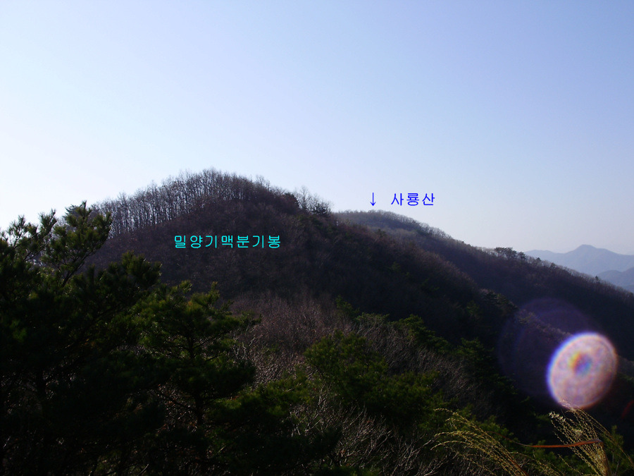 서오리 이미지