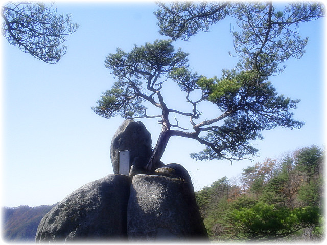 오봉산칼국수 이미지