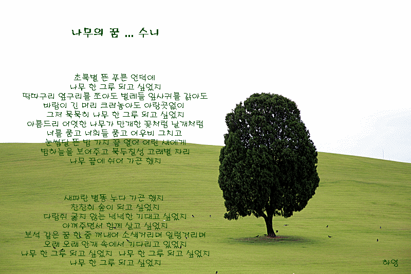 나무의꿈 이미지