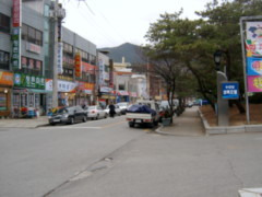 대지이용원 이미지