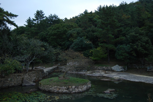 정자중학교 이미지