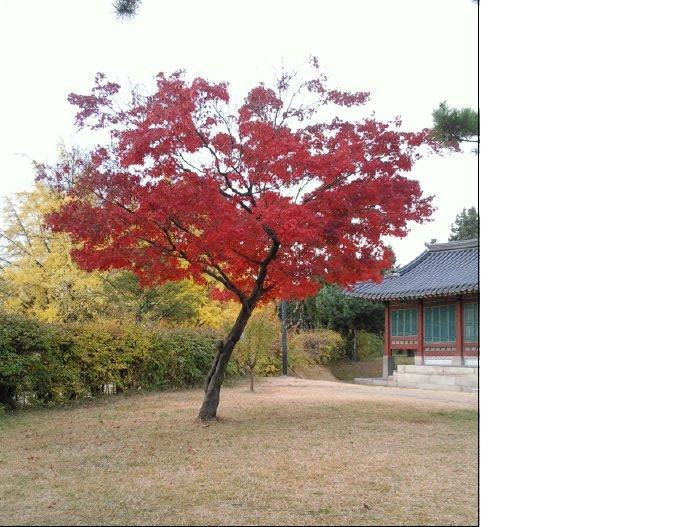 인사동민속떡집 이미지