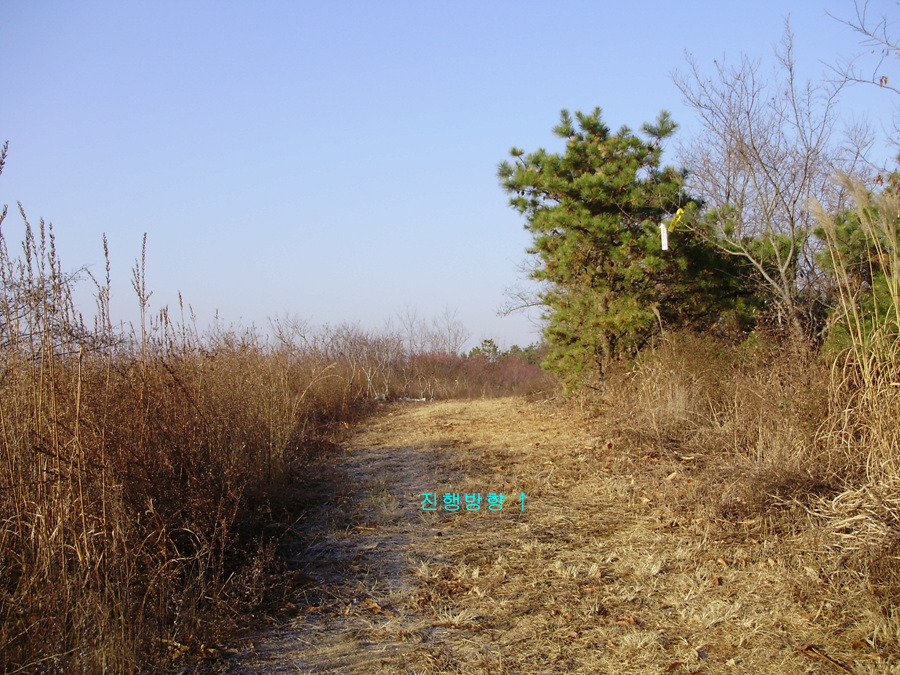 서오리 이미지