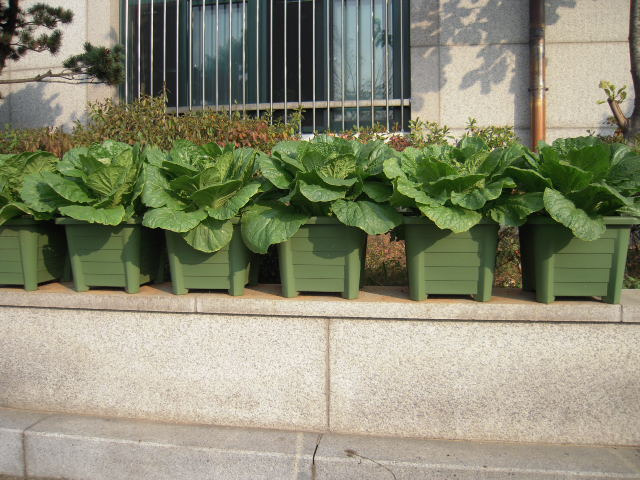 경인고등학교 이미지